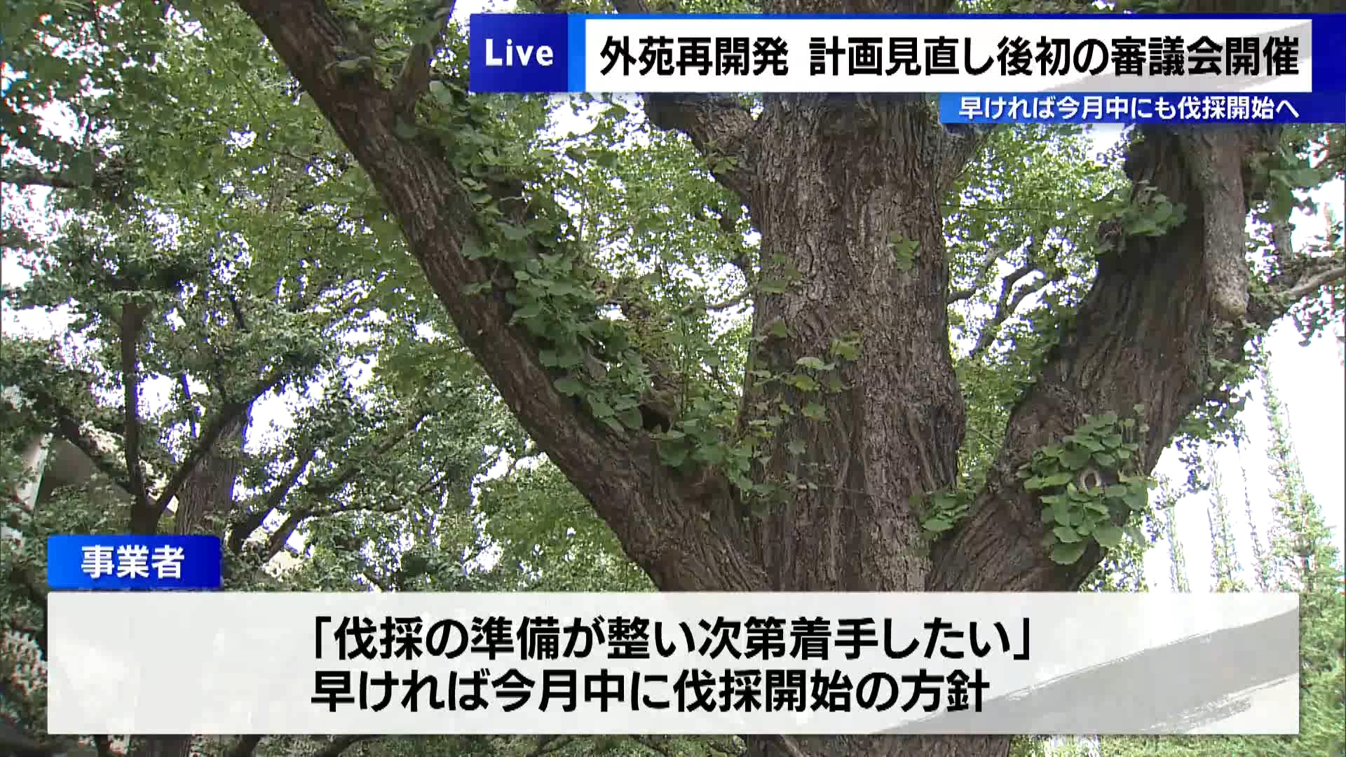 明治神宮外苑の再開発を巡り、計画の見直し後初となる東京都の環境影響評価審議会が10月21日に開かれました。審議会では事業者の三井不動産が委員らに見直した計画について説明を行いました。これに対し、専門家などからは大きな異論は出ませんでした。