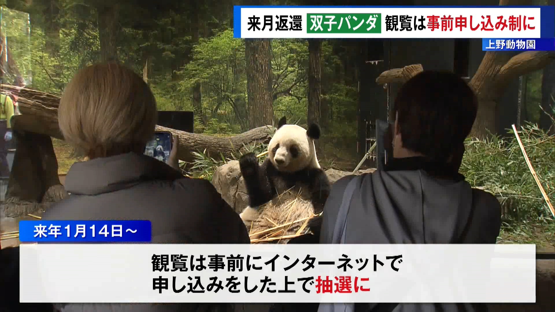 中国に返還することが決まった東京・台東区にある上野動物園の双子のジャイアントパンダ・シャオシャオとレイレイの観覧方法が、12月23日からインターネットによる事前申し込み制となっています。