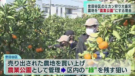 世田谷区は桜丘にある農地を新たに「農業公園」として管理する計画を明らかにしました。区内で設置が進む農業公園とはどういったものなのでしょうか。また、その背景を探りました。