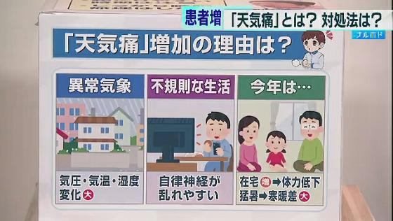 台風などが来ると症状が出やすくなるという「天気痛」についてまとめました。天気痛とは、季節の変わり目に起こるといわれている頭痛やめまい、耳鳴りや倦怠(けんたい)感などの症状です。
