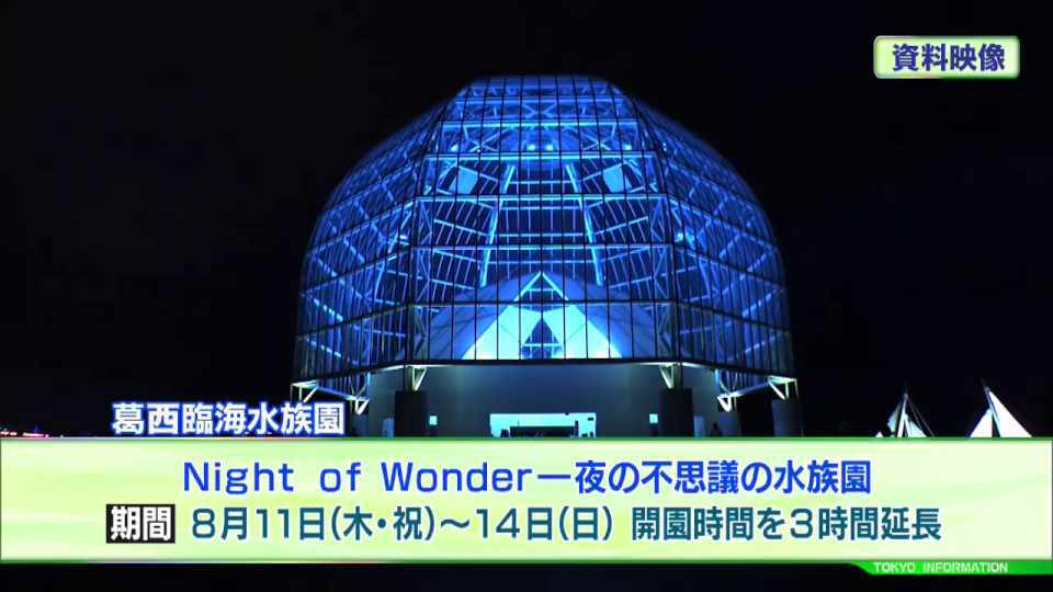 葛西臨海水族園魚たちといっしょに夜を迎える　「Night of Wonder 夜の不思議の水族園」