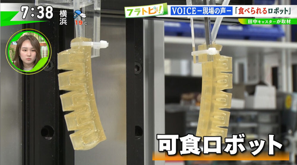 TOKYO MX（地上波9ch）朝の報道・情報生番組「堀潤モーニングFLAG」（毎週月～金曜7:00～）。「フラトピ！」のコーナーでは、“食べられるロボット”の研究現場を、キャスターの田中陽南が取材しました。