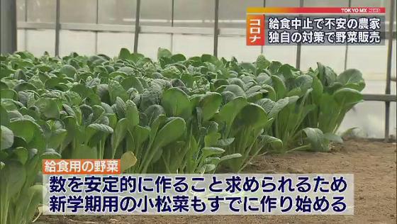 新型コロナ対応 給食中止で不安の農家 独自の対策で野菜販売も Tokyo Mx プラス