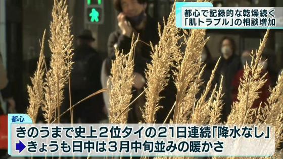 東京都内は1月13日も日中、季節外れの暖かさとなり、記録的な乾燥状態が続いています。こうした中、都内の皮膚科でも肌荒れに関する相談が増えているようです。
