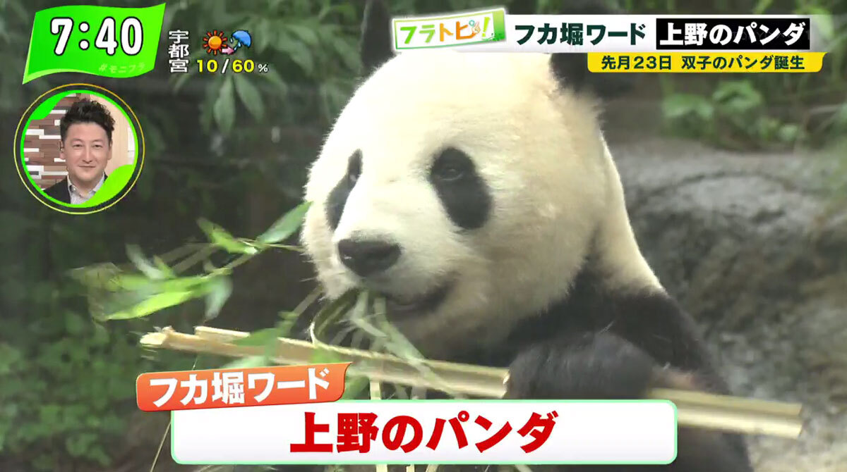 パンダのレンタル料金は年間 億円 Z世代が知らない 上野のパンダ Tokyo Mx プラス