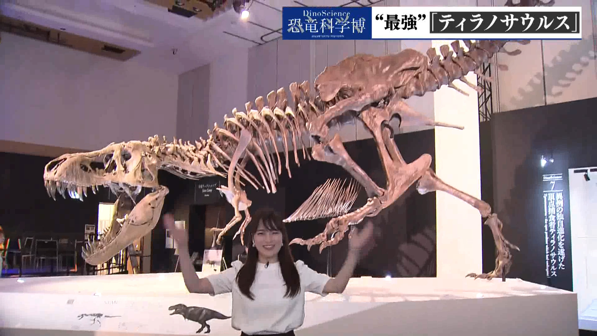 恐竜科学博 “最強”「ティラノサウルス」