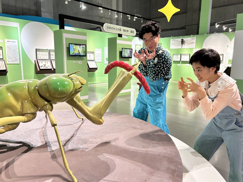 第36回 特別展【昆虫MANIAC】～国立科学博物館～｜はじめての美術館