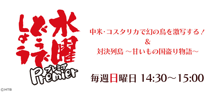 m様 水曜どうでしょう 0372.jpg