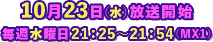 毎週水曜日 21:25～21:54 放送（MX1）